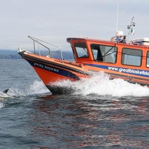 Great Blasket Island Experience Eco Tours