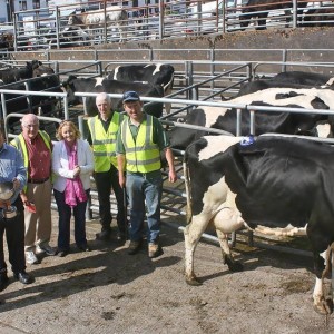West Kerry Agricultural Show: July/Iúil