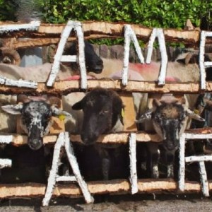 Camp Sheep Fair: September/Meán Fómhair
