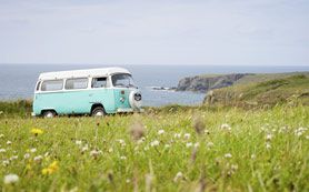 camper van by the sea with grass and wildflowers in the foreground